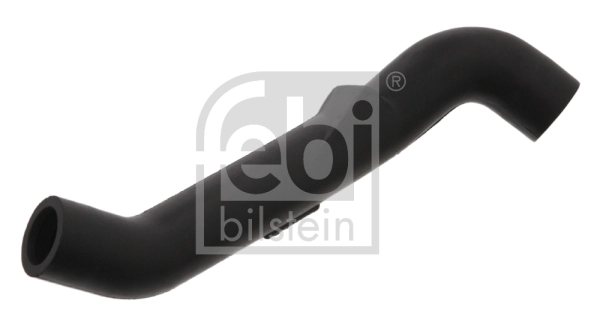 Hose, crankcase ventilation